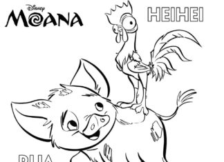 kolorowanka kogut na świni w bajce Moana do druku