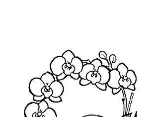 kolorowanka kolorowy wianek z orchidei do druku