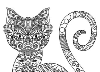 Kot we wzory kolorowanka kot we wzory