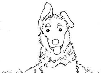 kolorowanka kudłaty piesek z wystawionym językiem