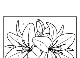 kolorowanka kwiaków z cyframi i kolorami