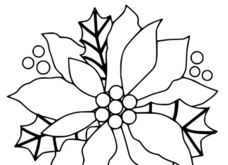 kolorowanka kwiat ponsacja bez łodygi dla dzieci