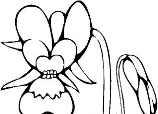 kolorowanka kwiatek z dużymi liścmi dla dzieci do druku