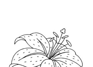 Kwiatek dla dzieci kolorowanka kwiatka dla dzieci do druku