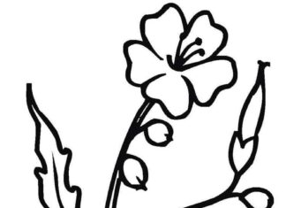 kolorowanka kwiatka dla małych dzieci