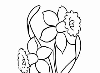 Kwiaty żonkile w doniczce kolorowanka kwiatki żonkile w doniczce do druku