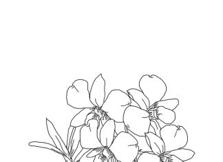 kolorowanka kwitnące kwiatuszki do druku