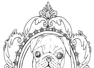 kolorowanka mopsik w pięknym obrazie