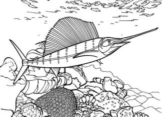 Morskie stworzenie na rafie koralowej kolorowanka morskie stworzenie na rafie koralowej