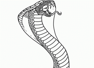 Ogromna kobra atakuje kolorowanka ogromna kobra atakuje do druku
