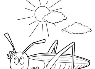 kolorowanka owad na pięknej panoramie