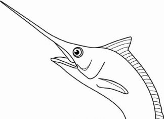 Ryba broni się swoim mieczem kolorowanka ryba broni się swoim mieczem