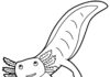 kolorowanka rybka machająca nóżkami