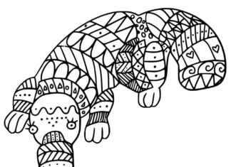 kolorowanka ssak w ciekawe wzorki do druku