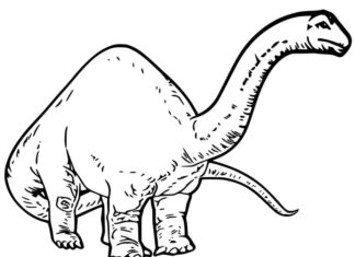 kolorowanka stary brachiosaur