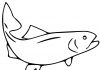 kolorowanka wielki łosoś amachający płetwą do druku