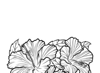 kolorowanka z kwiatami dla dzieci