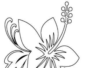 kolorowanka z kwiatkiem dla dziewczyn i chłopców