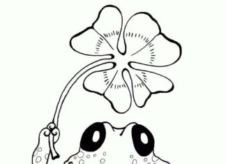 kolorowanka żaba trzymająca czterolistną koniczyne