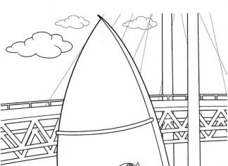 koloroanka Rocky pływa na surfingu