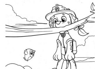 Marshall wisi na sznurku kolorowanka Marshall wisi na sznurku do druku