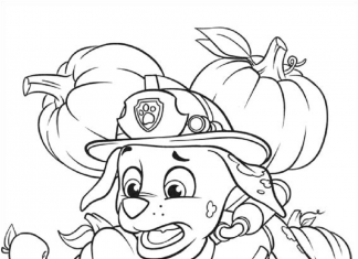 kolorowanka Rocky spada z wysokości