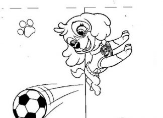 Skye Psi Patrolgra w piłke kolorowanka Skye Psi Patrolgra w piłke do druku