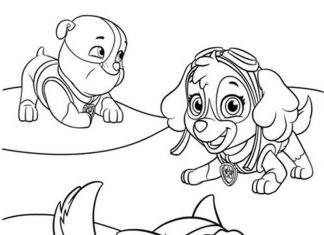 Skye z przyjaciółmi kolorowanka Skye z przyjaciółmi do druku