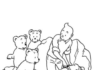 Tintin z niedźwiedkami kolorowanka Tintin z niedźwiadkami