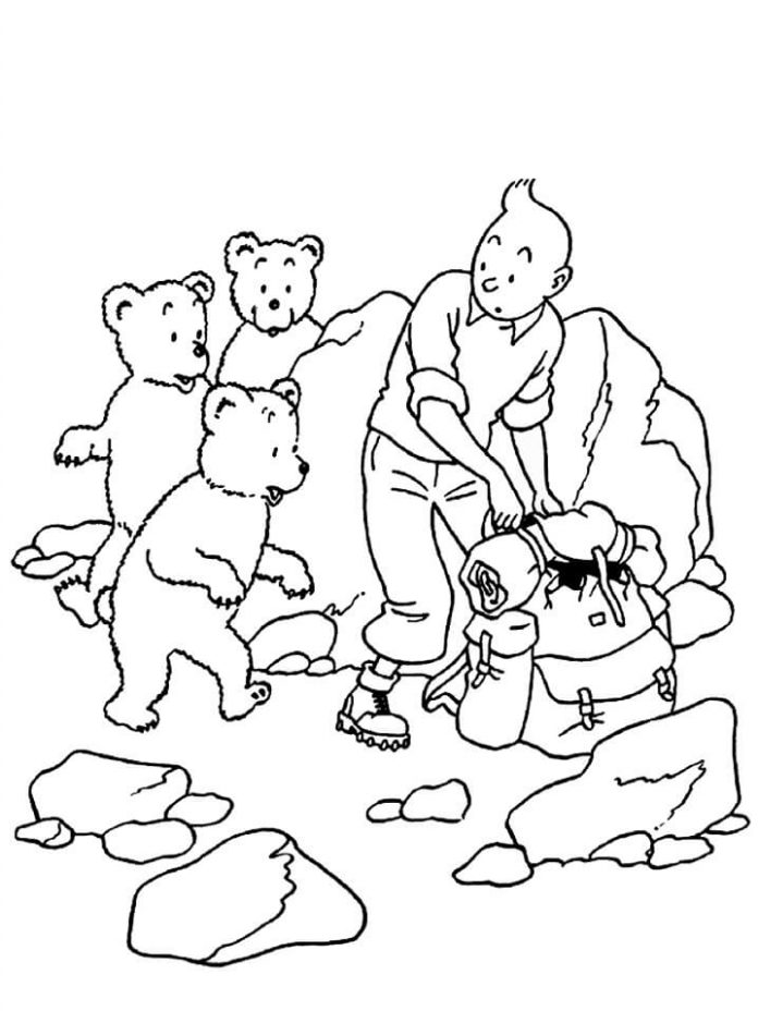 kolorowanka Tintin z niedźwiadkami