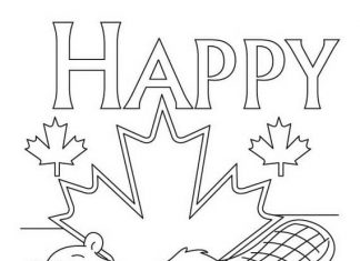 Bóbr w liściach klonu