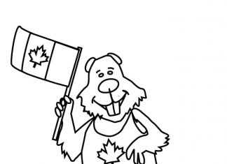 Bóbr z ostrymi zębami