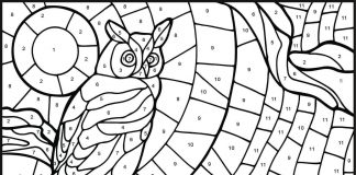 Dla 7 latka według instrukcji sowa kolorowanka dla 7 latka według instrukcji sowa