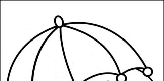 Dla 8 Latków kanarek z parasolką