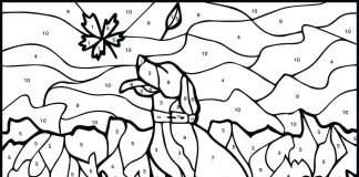 Dla 8 Latków z instrukcją z psem