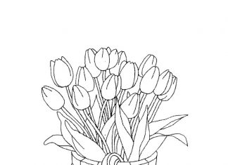 Drewniane wiadro z tulipanami