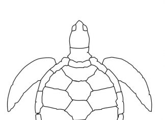 Gad morski płynący pod prąd wody