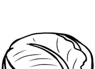 Głąbek kapusty kolorowanka głąbek kapusty