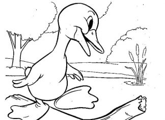 Kaczątko na pieńku drzewa kolorowanka kaczątko na pieńku drzewa
