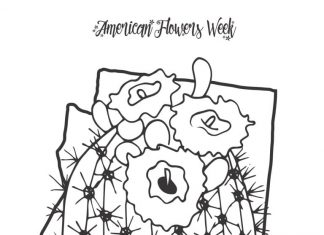 Kaktus z Arizony kolorowanka kaktus z Arizony do druku