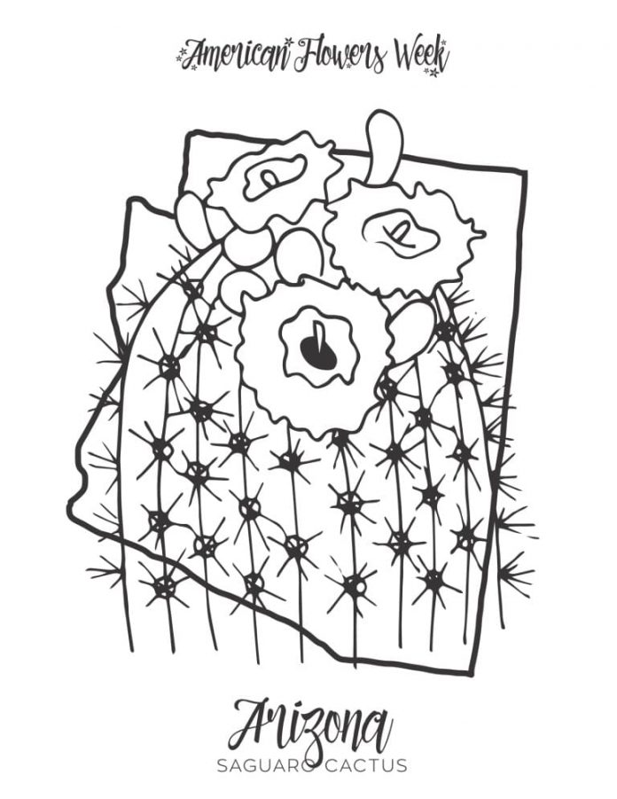 kolorowanka kaktus z Arizony do druku