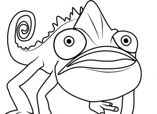 Kameleon kolorowanka kameeleon - bajka Larva