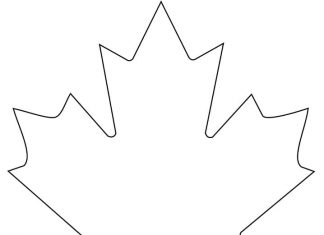 Kanadyjski liść