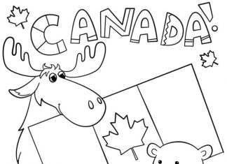 Kanadyjskie zwierzątka