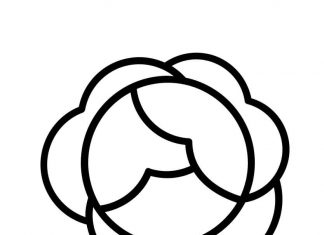 Kapusta naszykowana do szatkowania kolorowanka kapusta naszykowana do szatkowania