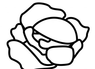 Kapusta rośnie na polu kolorowanka kapusta rośnie na polu