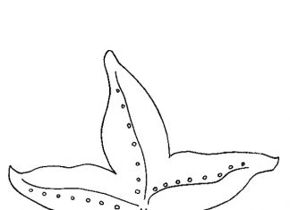 Kolorowanka morska kolorowanka kolorowanka morska