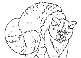 Kot według instrukcji kolorów kolorowanka kot według instrukcij kolorów