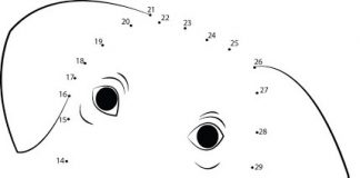 Kropki do połączenia z psem