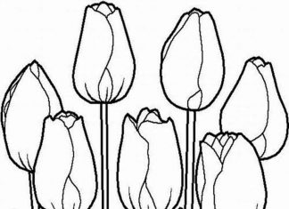 Kwiatki rosnące w trawie